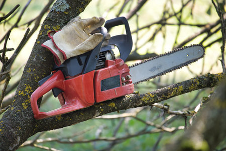 Red chainsaw and work gloves on a tree branch in a sunny outdoor setting suggesting forestry work and garden maintenanceの写真素材