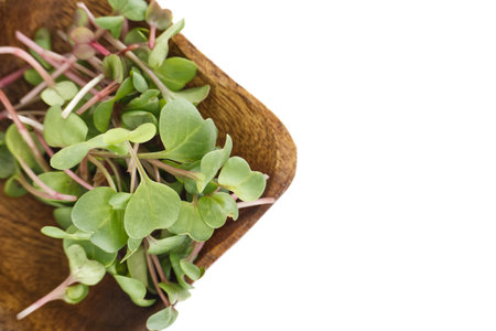 Fresh radish microgreens with vibrant green leaves and pink stems elegantly arranged in a wooden bowl. Perfect for healthy salads, garnishes, and culinary presentationsの写真素材