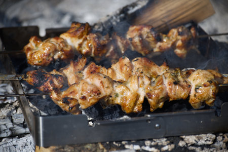 Close-up of pork skewers grilling over hot coals, smoke rising, perfect for a summer barbecue or picnic. The meat looks juicy and delicious.の写真素材