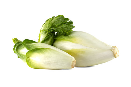 A close-up shot of fresh Belgian endive heads. The vibrant white and green colors make them visually...