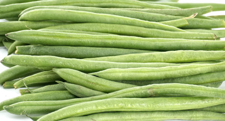 Freshly harvested green beans are neatly arranged, showcasing their vibrant green color and creating an appealing backdrop for culinary or health related themesの写真素材