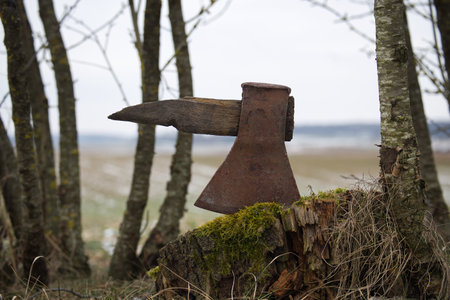 A weathered axe lodged in a tree stump amidst a natural setting, evoking primitive and rustic themes. Surrounding trees and the distant field enhance its serene outdoor environment.の写真素材