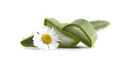 Close-up shot of aloe vera slices and a daisy on a white background, suggesting health and wellness.の写真素材