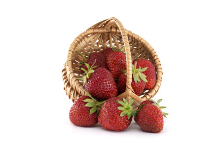 Ripe red strawberries spilling from a small wicker basket on a clean white background create a vibrant, appetizing scene, highlighting their freshness and natural sweetnessの写真素材
