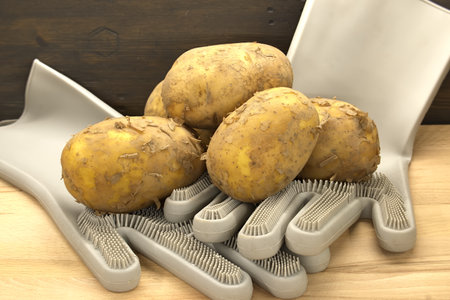 Close-up of fresh potatoes resting on a special cleaning glove, ready for preparation. Wood background.の写真素材