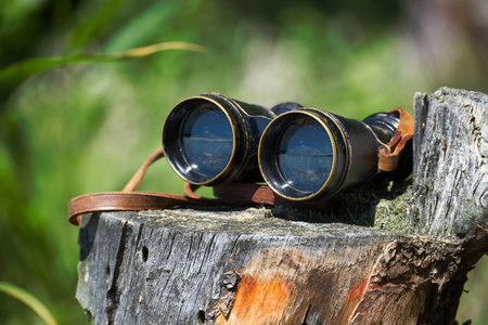 Classic brass binoculars rest on a rustic tree stump, set against a blurred natural background, evoking exploration and adventure.の写真素材