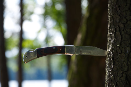 A pocket knife is plunged into a tree trunk, highlighting the sharpness of the blade. The background is blurred with trees and sunlight.の写真素材