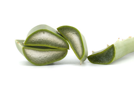 Close-up of freshly cut aloe vera leaves showcasing the gel's clear, moist texture, isolated on a white background. Ideal for themes related to natural health, skincare, and botanical remedies.の写真素材