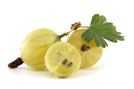 Ripe gooseberries with a fresh leaf captured on a white background highlighting their texture and freshnessの写真素材