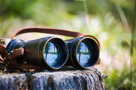 Close-up of vintage binoculars with a leather strap resting on a weathered tree stump, with a blurred natural background.の写真素材
