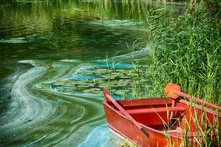 A red boat sits beside a polluted lake, with swirling green algae, indicating wastewater ecological...