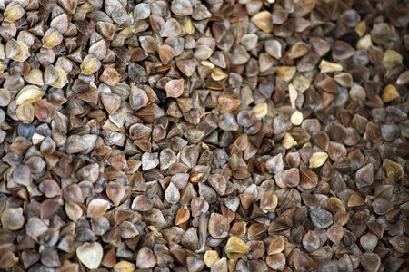 An overhead view showcases a detailed arrangement of buckwheat grains, highlighting their textured...