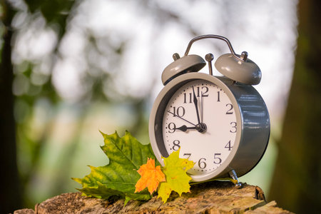 A classic alarm clock rests on a tree stump, accompanied by colorful autumn leaves, creating a...
