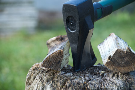 An axe is embedded in a piece of wood on a tree stump, ready to be split. The background shows a...