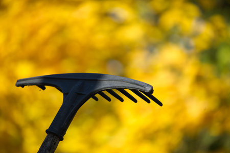 A sleek black rake rests in the foreground with a vivid autumnal blur of yellow leaves behind. Ideal...