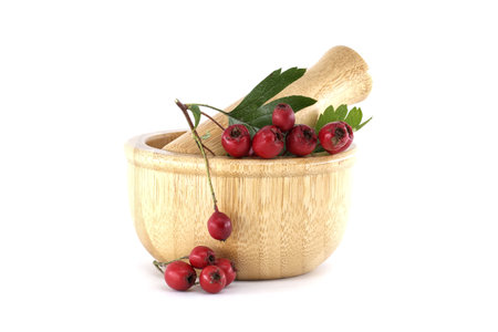A close-up shot of hawthorn berries and leaves arranged in a wooden mortar with a pestle, isolated on white.の写真素材