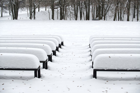 Snow blankets a row of park benches in a tranquil winter scene. An empty, snow-covered setting evokes calm and reflection against a backdrop of bare trees and soft, white silence.の写真素材