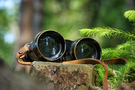 A pair of vintage binoculars with a leather strap lies on a weathered tree stump amid a lush forest, capturing a sense of outdoor exploration, adventure, and nature. Ideal for nature lovers and travel themes.の写真素材