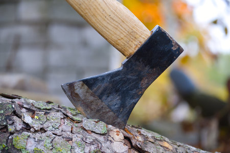 An axe is embedded in a tree trunk, showcasing the tool's sharpness and the texture of the woodの写真素材