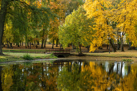 The vibrant colors of fall are reflected in the calm water of the pond, creating a beautiful sceneの写真素材