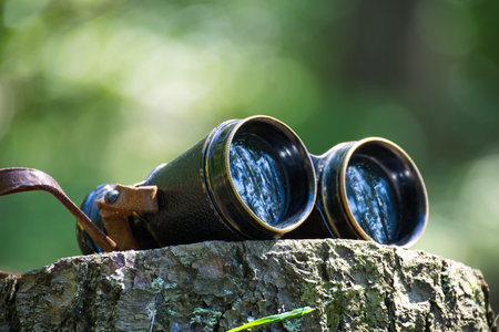 Vintage binoculars rest on a mossy tree stump with reflective lenses and leafy bokeh, evoking outdoor exploration, birdwatching, wildlife observation and nostalgic adventure in peaceful forest settingの写真素材