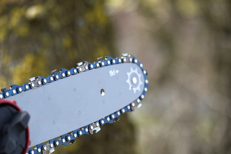 Detailed view of a power tool's cutting chain and bar, ready for use in outdoor tasksの写真素材