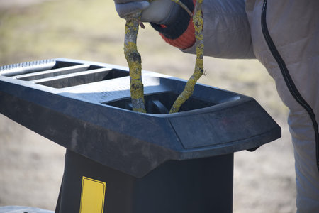 A person wearing gloves inserts branches covered in lichen into a black garden shredder machine for...
