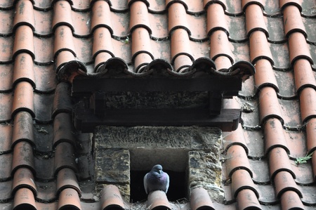 prague,capital of czech repulic, with its palaces, bridges and castlesの写真素材