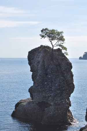 on the way to Portofino, Liguria, Italyの写真素材
