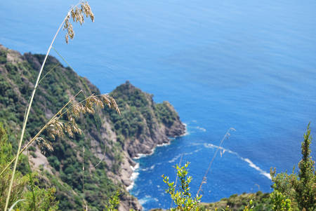 Camogli and Portofino promontoryの写真素材