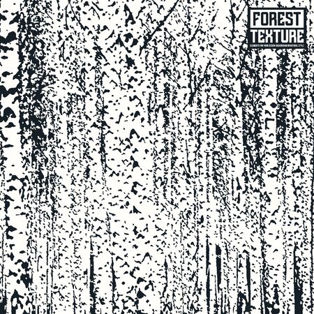 Birch forest texture as background on emblem or overlays on photo. Black and white  printのイラスト素材