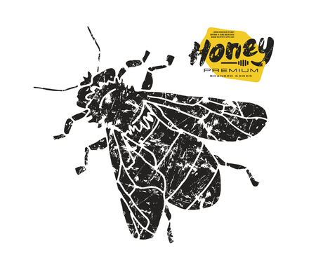 Stock vector illustration of honey bee. Print on white backgroundのイラスト素材
