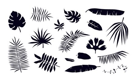 Stock vector set of tropical plant leaf silhouettes. Black print on white backdropのイラスト素材