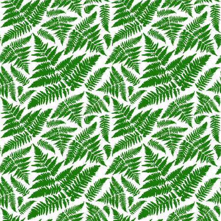 Ferns seamless pattern. Green print on white backgroundのイラスト素材