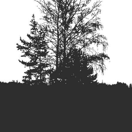 Forest texture for background on emblem or overlays on photo. Black and white printのイラスト素材