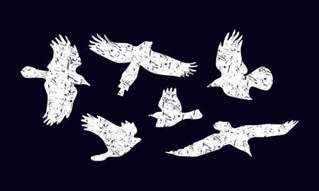 Stock vector set of soaring birds silhouettes with rough texture. For logo and t-shirt design. White print on black backgroundのイラスト素材