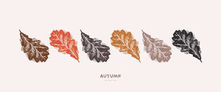 Banner with oak leaves ornament. Vector illustration in hand-drawn linocut styleのイラスト素材