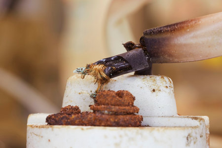 Burnt wire insulation and rusted electrical contacts. What is dangerous in your homeの写真素材