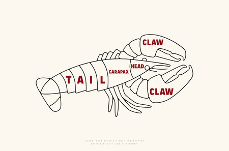 Lobster cuts diagram in thin line style. color print on white backgroundのイラスト素材