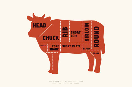 Beef cuts diagram in silhouette style. color print on white backgroundのイラスト素材