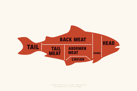 Fish cuts diagram in silhouette style. color print on white backgroundのイラスト素材