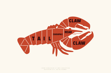 Lobster cuts diagram in silhouette style. color print on white backgroundのイラスト素材
