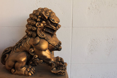 The lionの写真素材