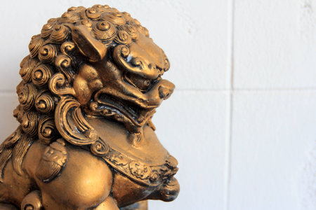 The lionの写真素材