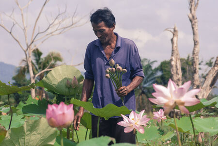 Local people with lotusのeditorial素材