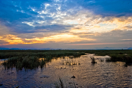 Evening at lakeの写真素材