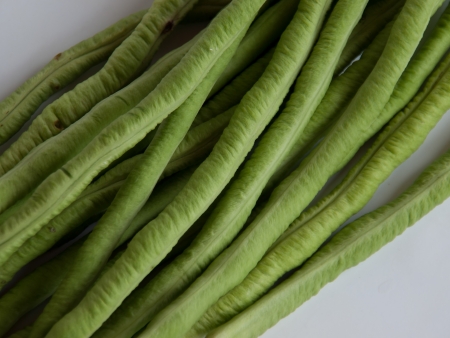 Lentilsの写真素材