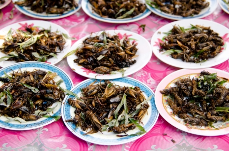 Fried insectsの写真素材
