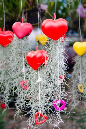 Heart-shaped design with ornamental plantsの写真素材