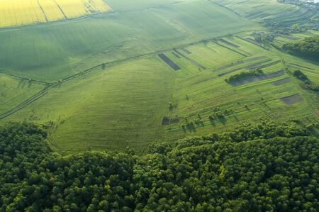 Amazing aerial view of spring forestの写真素材